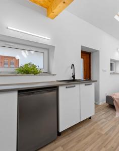 Kuchyň nebo kuchyňský kout v ubytování Apartmány Ústup