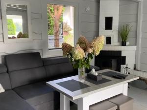 Χώρος καθιστικού στο Uroczy domek i apartament nad samym jeziorem z basenem +40 φωτογραφίες