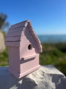 ein rosa Vogelhaus auf einem Felsen in der Unterkunft The Pink Cottage upstairs suite & Garden Summer Room in Whitehead