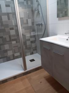 a bathroom with a shower and a sink at Appart Sion face mer in Sion-sur-lʼOcéan