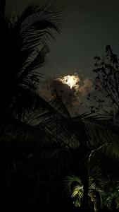 Fotografie z fotogalerie ubytování Casa de Valeria v destinaci Cebadilla