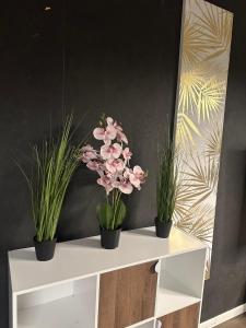 a white shelf with three potted plants on it at Appartement Claudel Netflix Saint Quentin en Yvelines in Montigny-le-Bretonneux