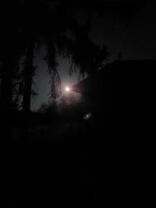 Gallery image of Wochenendhaus, traumhafte Alleinlage am Bachlauf in Schadenbach +48 photos