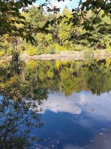 Gallery image of Wochenendhaus, traumhafte Alleinlage am Bachlauf in Schadenbach