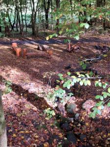 Gallery image of Wochenendhaus, traumhafte Alleinlage am Bachlauf in Schadenbach