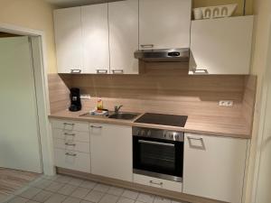a kitchen with white cabinets and a sink and a stove at Weinmanns Wildgatter in Grafenwiesen