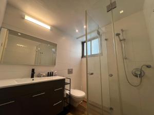 a bathroom with a shower and a sink and a toilet at Ben Yehuda 2 Bedrooms Apartment in Tel Aviv +17 photos