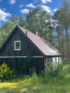 eine alte Scheune, die von Unkraut umgeben ist in der Unterkunft 24mousehouse - Urokliwy domek w sercu Borów Tucholskich in Czersk Pomorski