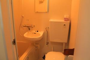 a small bathroom with a toilet and a sink at Irodorinoyado Kaede Izumi - Vacation STAY 70082v in Yamanakako +19 photos