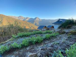 a view of a farm with mountains in the background at Hill Garden Homestay in Uttarey +9 photos