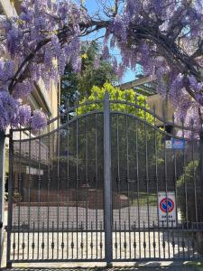 Gallery image of Casa Montalcino in Florence