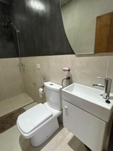 a bathroom with a toilet and a sink and a mirror at ALTOS DEL MIRADOR b in Patagones +12 photos