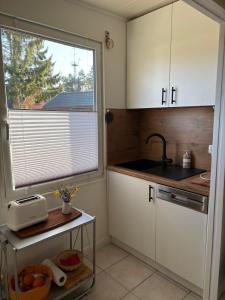 リーブニッツ・ダムガルテンにあるFerienhaus am Küstenwaldの白いキャビネット、シンク、窓付きのキッチン