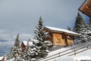 Feriendorf Koralpe Chalet Gamssprung v zimě