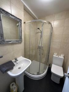 a bathroom with a shower and a sink and a toilet at High street apartments in Boston