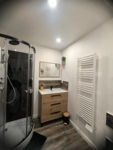 a bathroom with a shower and a sink and a shower at Ma douce Fenière in Saint-Rémy-de-Chargnat +26 photos