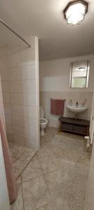 Koupelna v ubytování Vila Kost Apartman 2