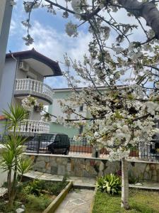 a tree with white flowers in front of a building at SeaView Ground in Eleftheres