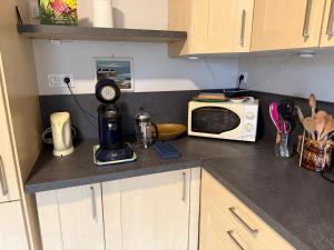 a kitchen with a counter top with a microwave at Le castor - Quartier résidentiel in Saint-Brieuc