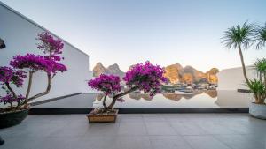 阳朔Yangshuo Mountain and City Resort的相册照片