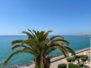 Gallery image of PalmBreeze in Vilanova i la Geltrú