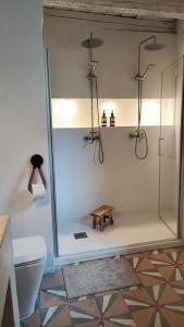 a bathroom with a shower with a toilet and a stool at Casa Chía in Arenas de San Pedro