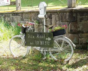 Jízda na kole v ubytování Vila Kost nebo okolí