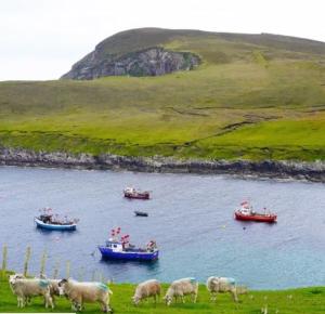 Náttúran í nágrenni íbúðarinnar