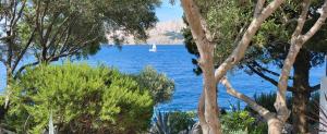 Φυσικό τοπίο κοντά σε αυτό το διαμέρισμα