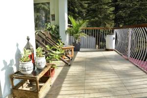 Imagen de la galería de The Fiddlehead Fern, en Dharamsala