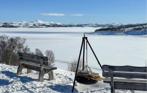 two benches sitting on top of a snow covered field at Nice Apartment In Rauland With Wifi in Rauland +7 photos