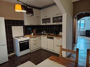 صورة لـ Green land house في بلغراد