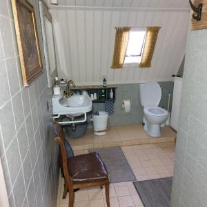 a small bathroom with a sink and a toilet at Bed&Breakfast ons Oda in Sint-Oedenrode +20 photos