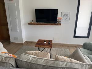 a living room with two couches and a tv at Villa DELTA in Sainte-Marie