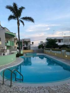 einen Pool mit einer Palme und Gebäuden in der Unterkunft Villa con piscina Maracuja - Torre Dell'Orso in Torre dell'Orso