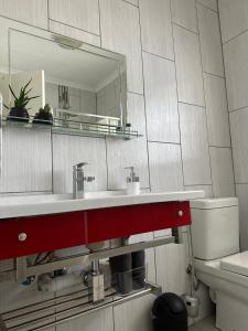 a bathroom with a sink and a mirror at AfriSky guest house in Kempton Park