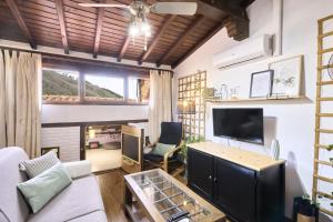 a living room with a couch and a tv at Apartamentos Ca' tio Celso in San Esteban de la Sierra