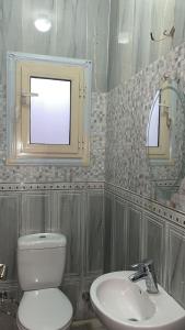 ein Badezimmer mit Toilette, Waschbecken und Spiegel in der Unterkunft relax newcairo in Kairo + 9 Fotos