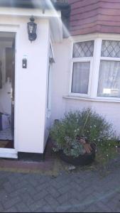 Hoone, kus kodumajutus asub