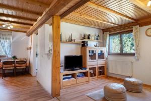 Una sala de estar con televisión y techo de madera. en Ferienwohnung Schartenschmiede, en St. Georgen im Schwarzwald