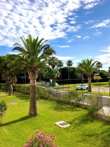 a palm tree in a park with grass and flowers at Apartamento a pie de playa en El Portil in El Portil