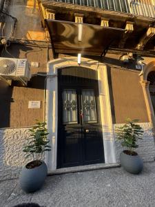 due piante in vaso posizionate davanti a una porta di B&B Sofia Home a Catania