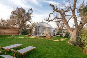 a dome greenhouse in a yard with a tree at Folià Natural Experience in San Vito dei Normanni
