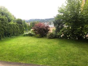 a yard with green grass and bushes and trees at Luxus Seeappartements in Velden am Wörthersee +2 photos