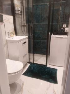 een badkamer met een douche, een toilet en een groen tapijt bij Apartament Górskie Zacisze in Szklarska Poręba