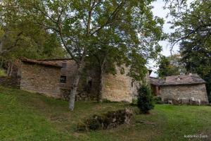 an old stone house with a tree in the yard at SO MAGIC - La casa nel bosco in San Godenzo