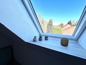 three potted plants sitting on a window sill at Ferienwohnung Dorfblick Kirchdorf in Kirchdorf