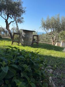 Zahrada ubytování Le Dimore di Mariuccia Relax & SPA