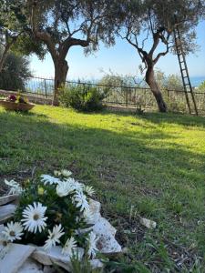 Zahrada ubytování Le Dimore di Mariuccia Relax & SPA