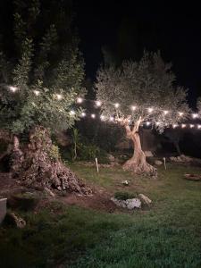 Zahrada ubytování Le Dimore di Mariuccia Relax & SPA